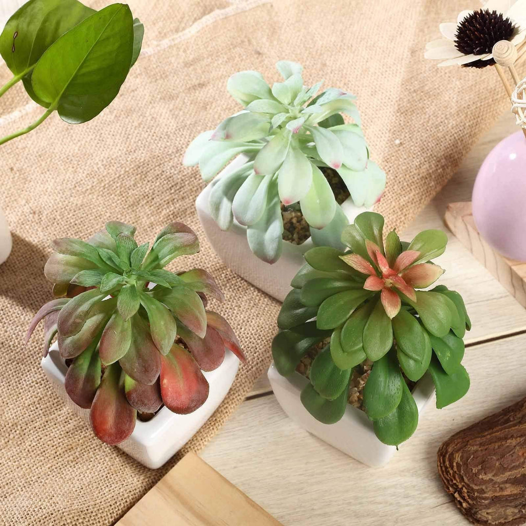 faux echeveria succulent 3 pcs 5" Assorted Artificial Faux Echeveria Succulent Plants with Off White Pots