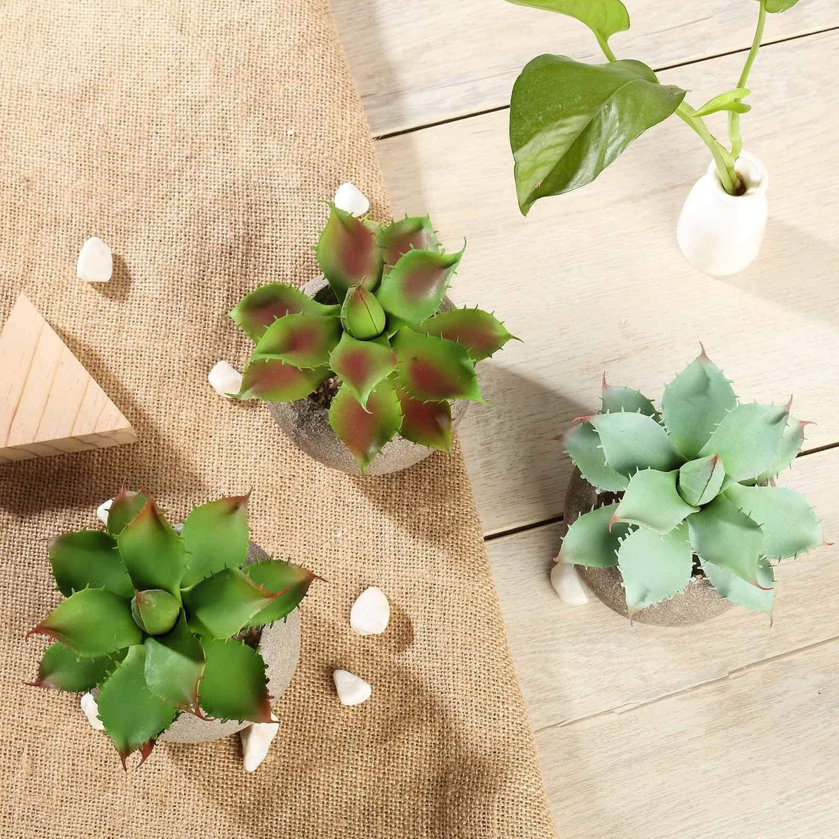 faux succulents for crafts 3 pcs 5" Assorted Artificial Faux Aloe Succulent Plants with Pots