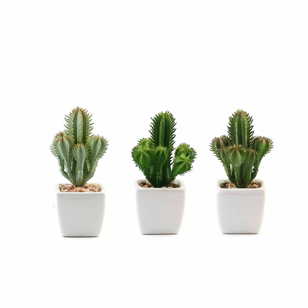 3 pcs 5" Green Artificial Faux Succulent Cactus Plants with Off White Pots