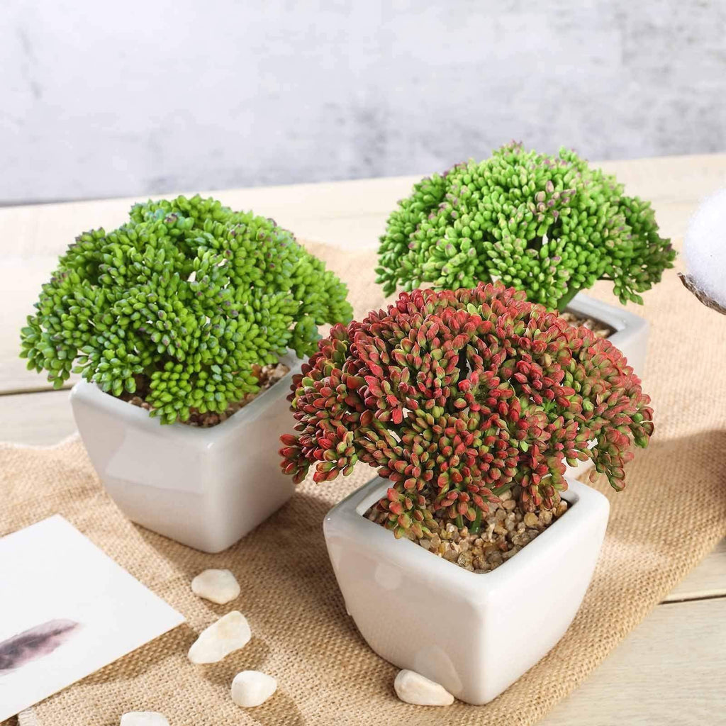 succulent plants faux 3 pcs 6" Assorted Artificial Faux Sedum Succulent Plants Off White Pot