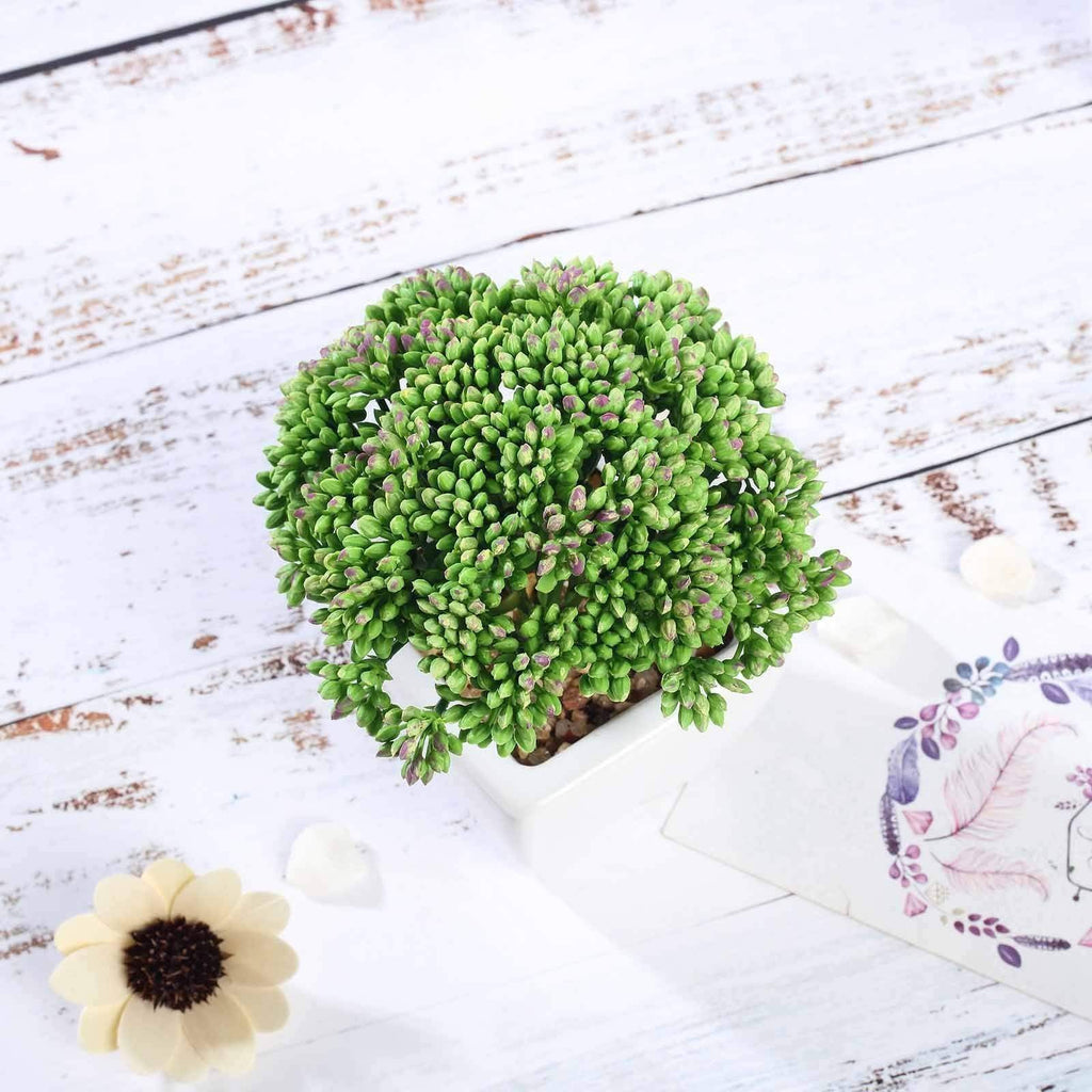 sedum asstd succulent Balsacircle 3 Pieces 6" Green Assorted Artificial Faux Sedum Succulent Plants White Pots