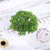 3 pcs 6" Assorted Artificial Faux Sedum Succulent Plants with Off White Pots
