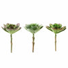 3 pcs 6" Assorted Green Artificial Succulent Echeveria Rosettes Picks Stems
