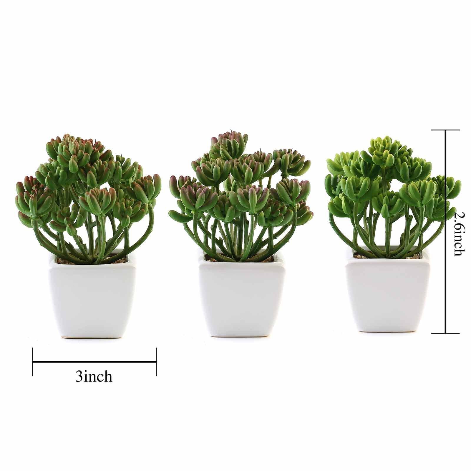 3 pcs 7