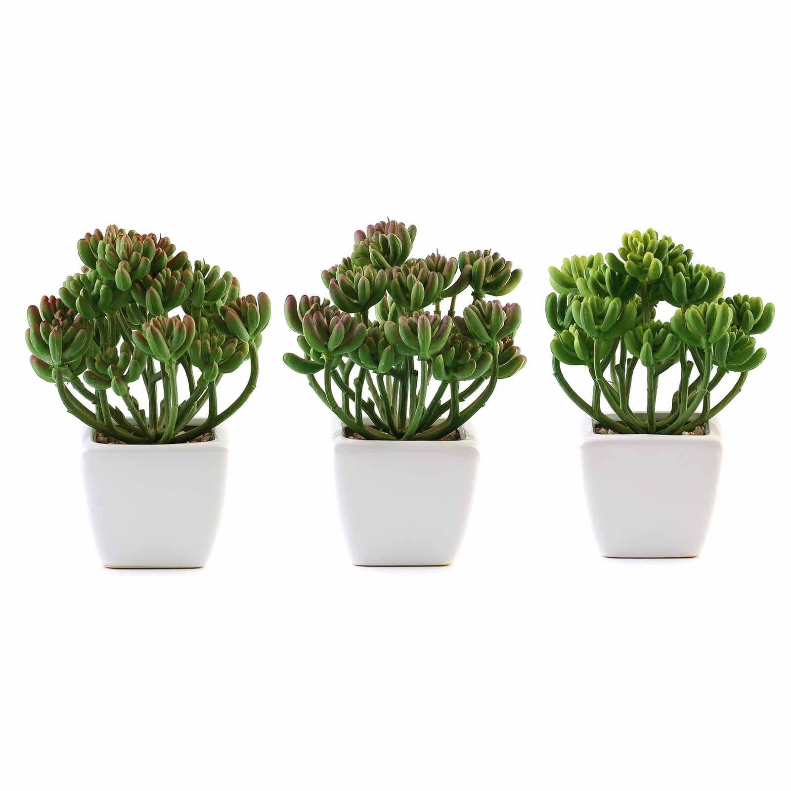 3 pcs 7