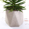 3 pcs 8" Assorted Artificial Faux Cute Crassula Succulent Plants with Pots