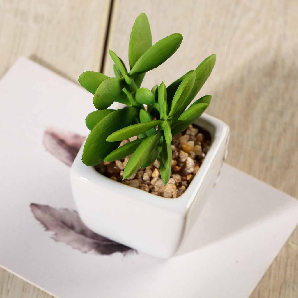 small fake succulents in pots 3 sets 3" Assorted Artificial Faux Small Succulent Plants with Pots