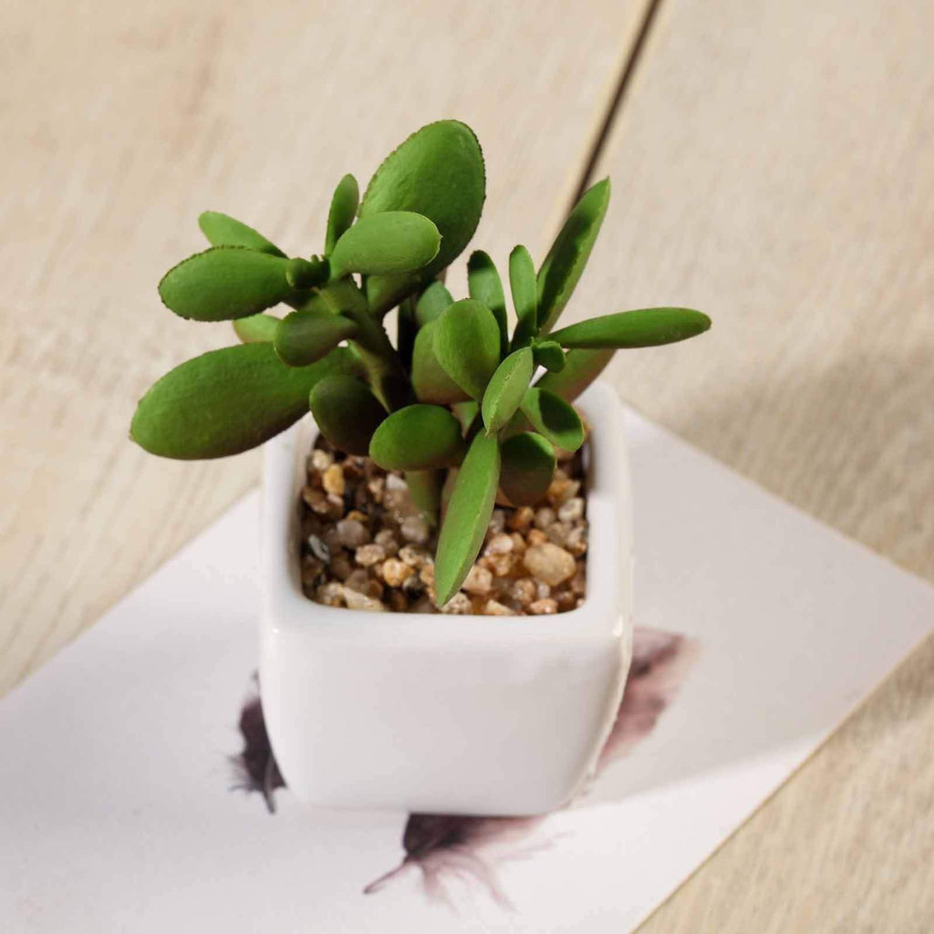 cute little succulent pots 3 sets 3" Assorted Artificial Faux Small Succulent Plants with Pots