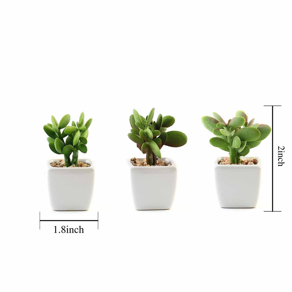 small fake succulents 3 sets 3" Assorted Artificial Faux Small Succulent Plants with Pots