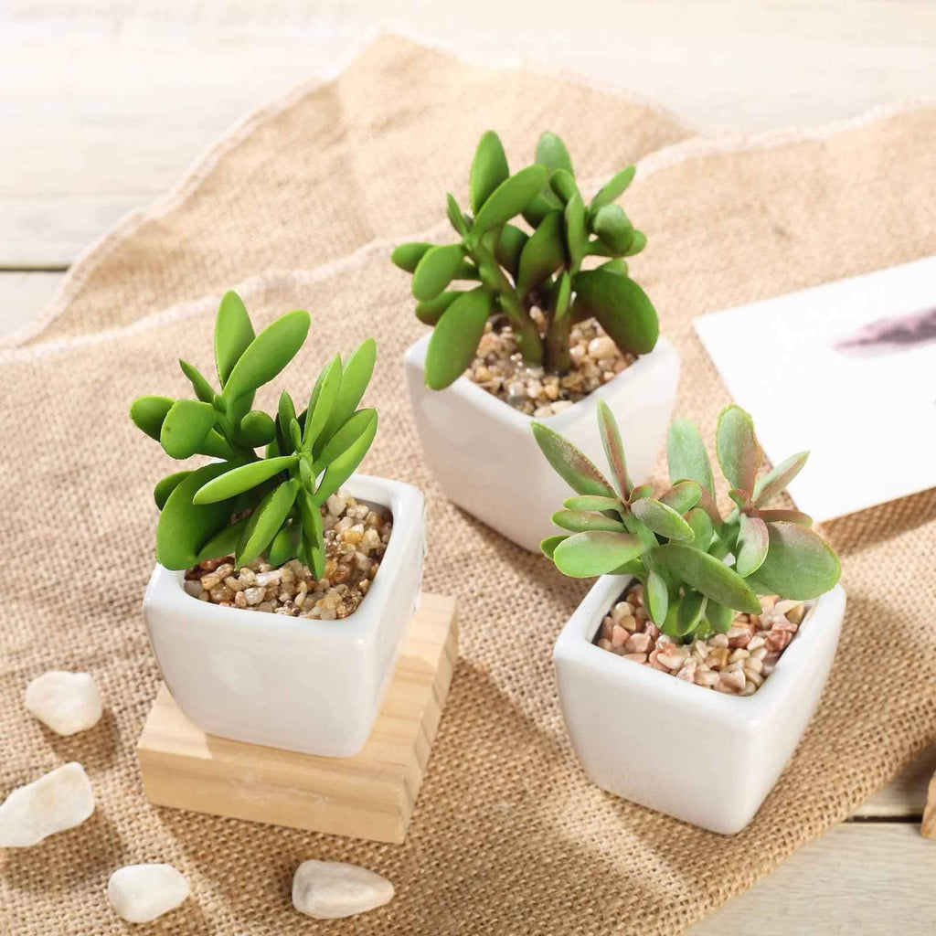3 sets 3" Assorted Artificial Faux Small Succulent Plants with Pots