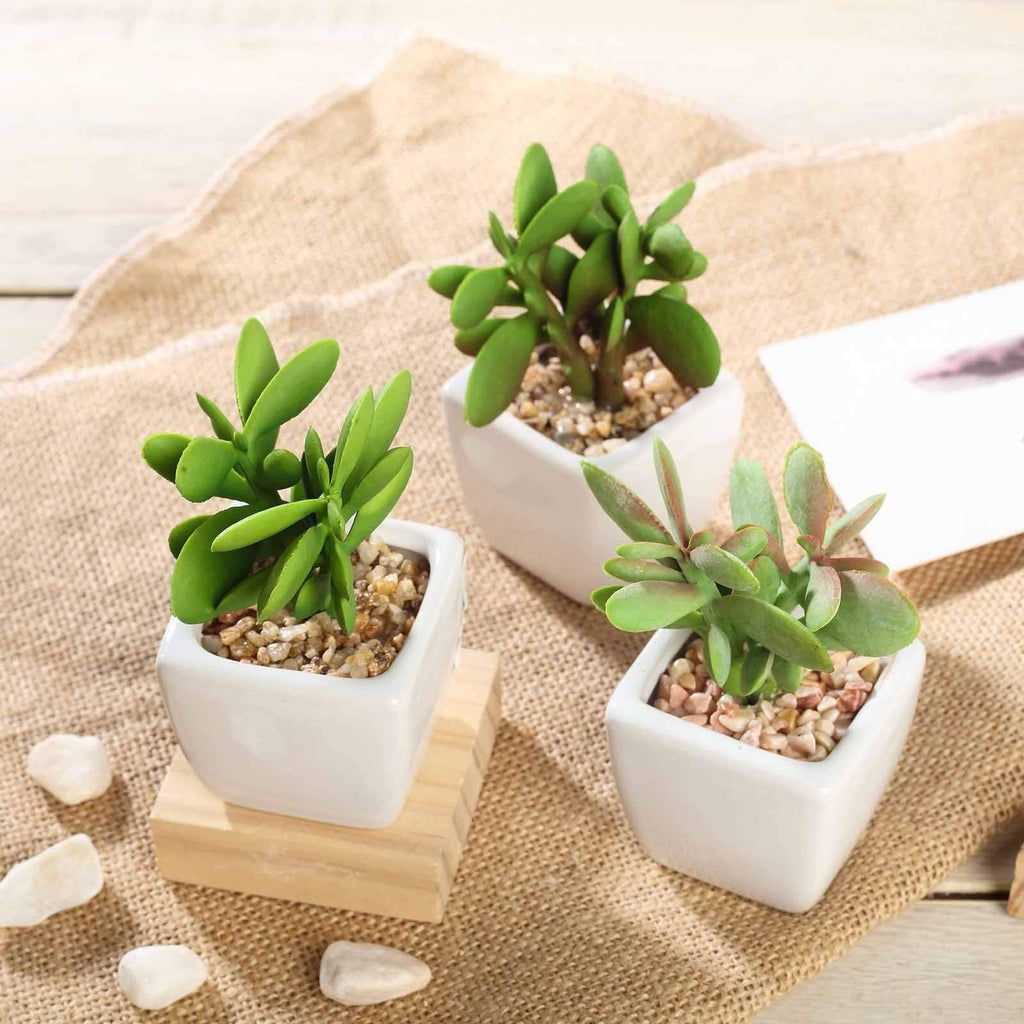 succulent arrangements in small pots 3 sets 3" Assorted Artificial Faux Small Succulent Plants with Pots
