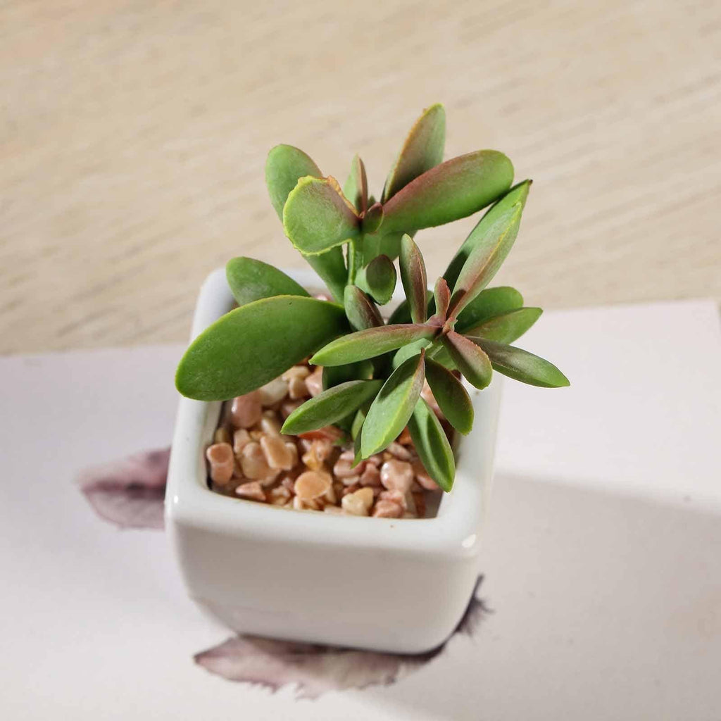 indoor succulent plants with artificial mini Balsacircle 3 Green Assorted 3" Artificial Faux Small Succulent Plants Pots Home Wedding