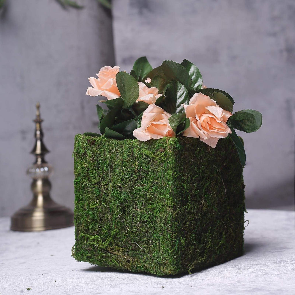4 Green 6x6 in Natural Moss Rustic Square Planter Boxes Centerpieces