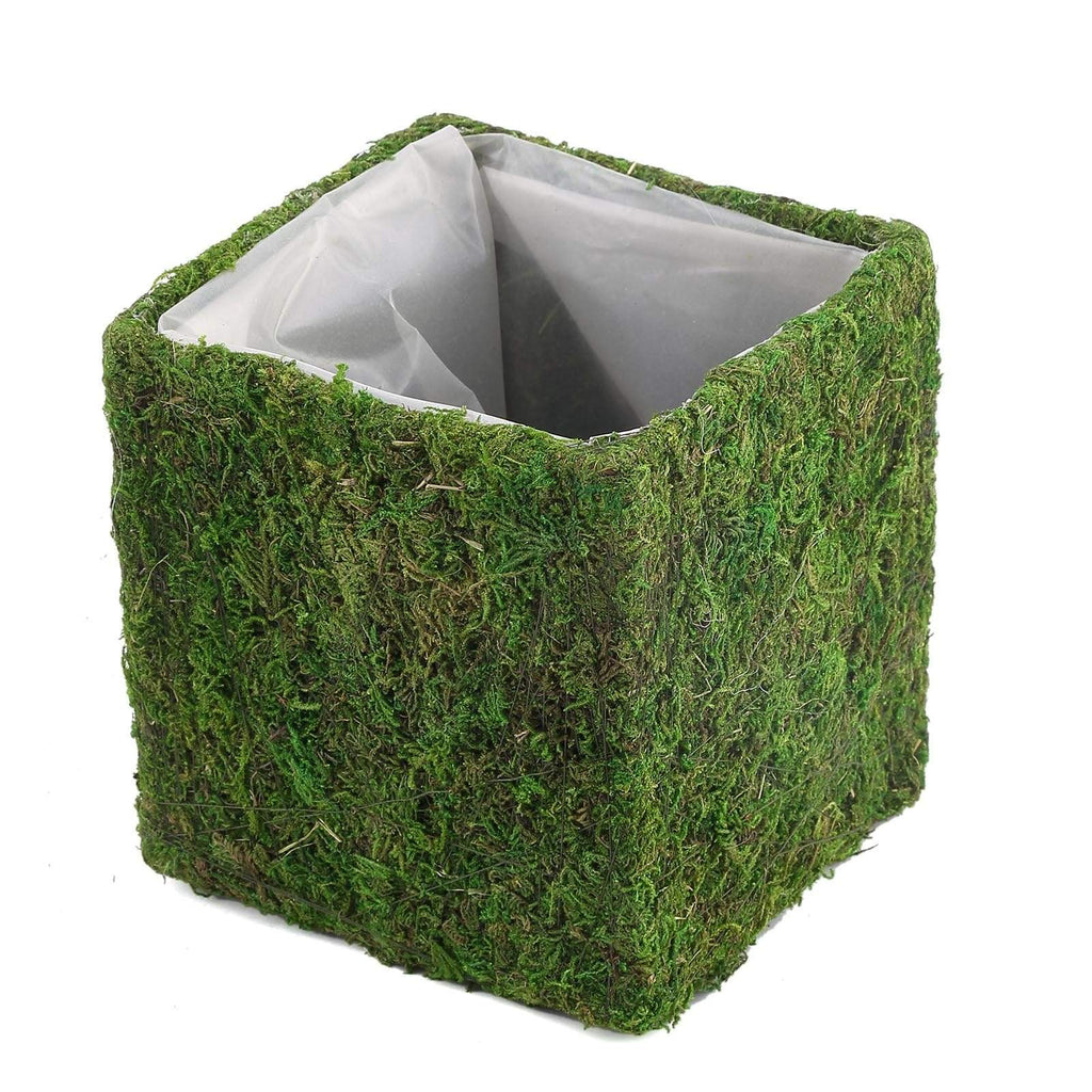 4 Green 6x6 in Natural Moss Rustic Square Planter Boxes Centerpieces