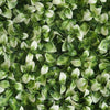 4 pcs Green and White Artificial Medium Boxwood Leaves Wall Backdrop Panels