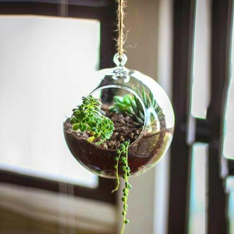 Materials needed for a hanging terrarium