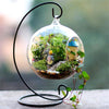 4 Round Glass Globe Hanging Terrariums