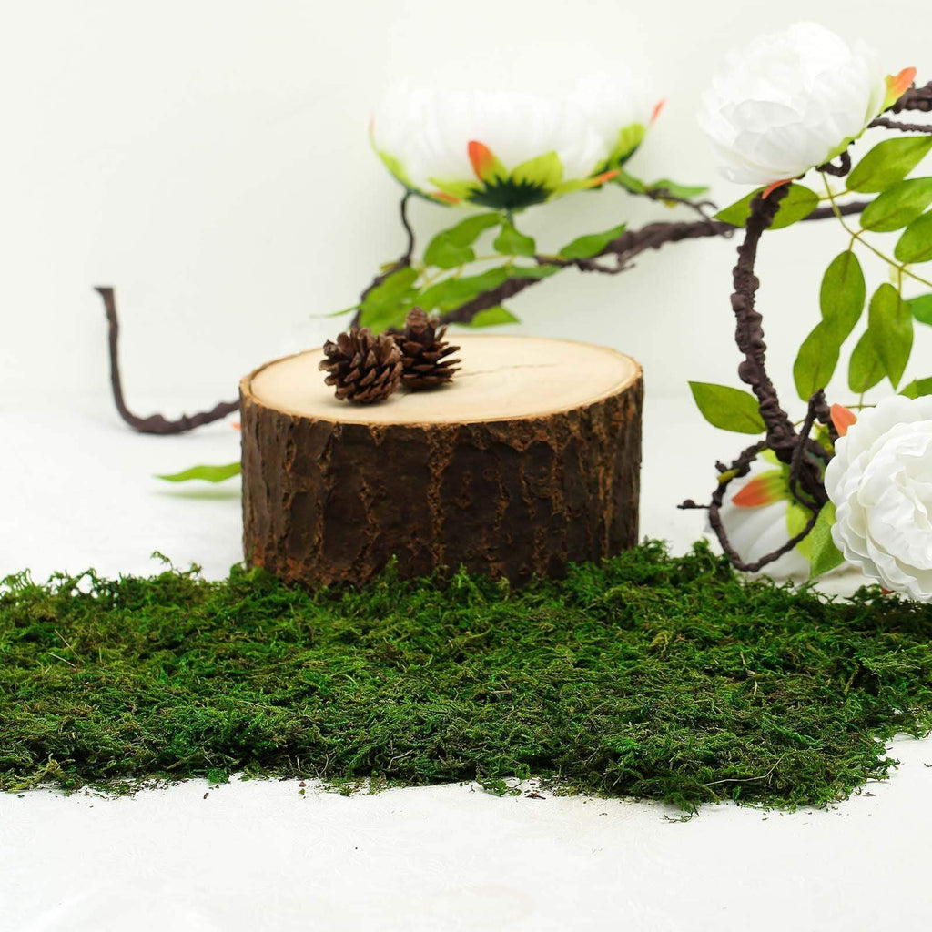 50 grams Green Natural Reindeer Moss Vase Fillers