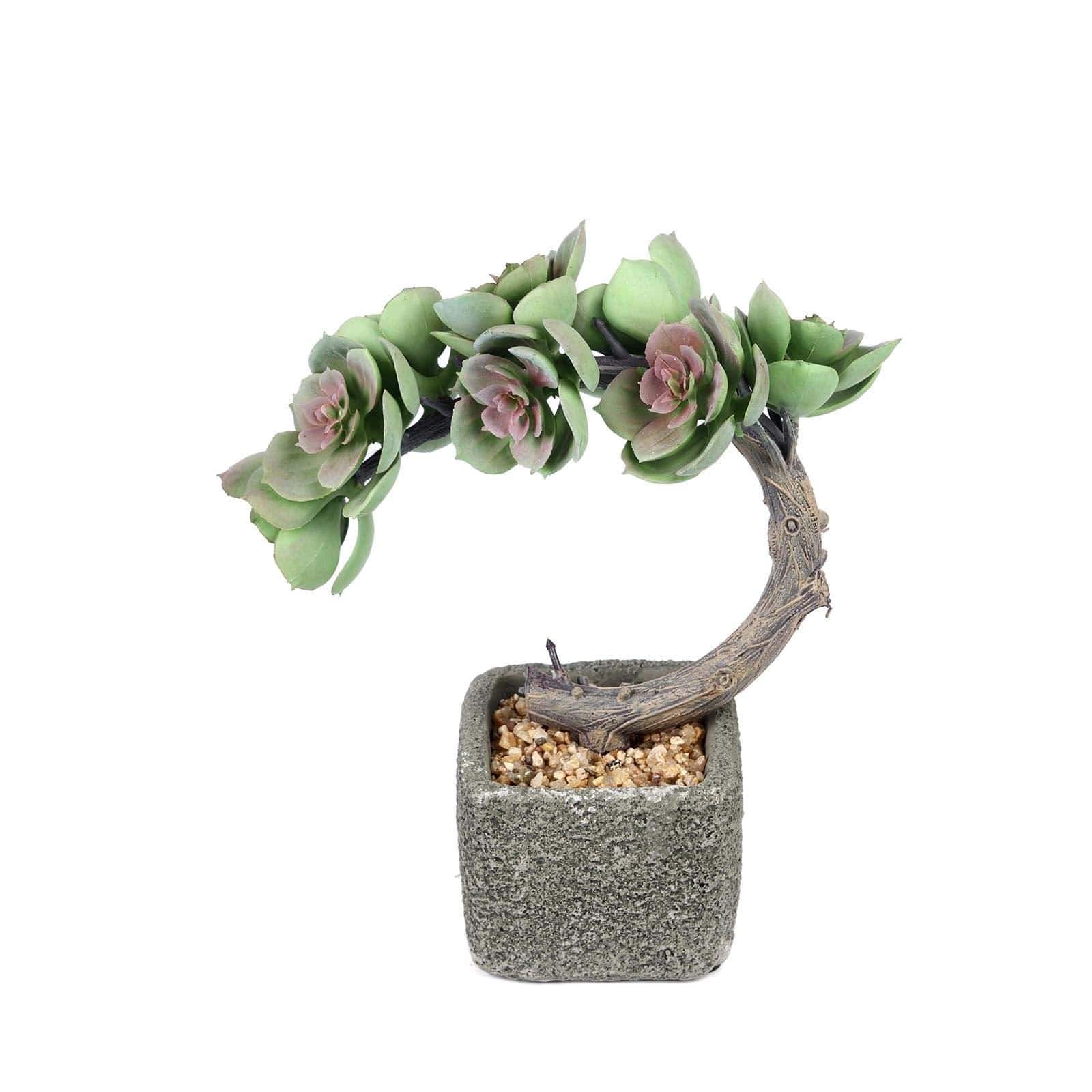 8 in tall Concrete Planter Pot with Green Artificial Mini Succulents Tree
