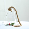 9 in tall Clear Bell Glass Hanging Terrarium
