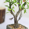9 in tall Concrete Planter Pot with Green Artificial Mini Willow Tree