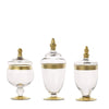 3 pcs Clear with Gold Trim Glass Apothecary Jars with Lids