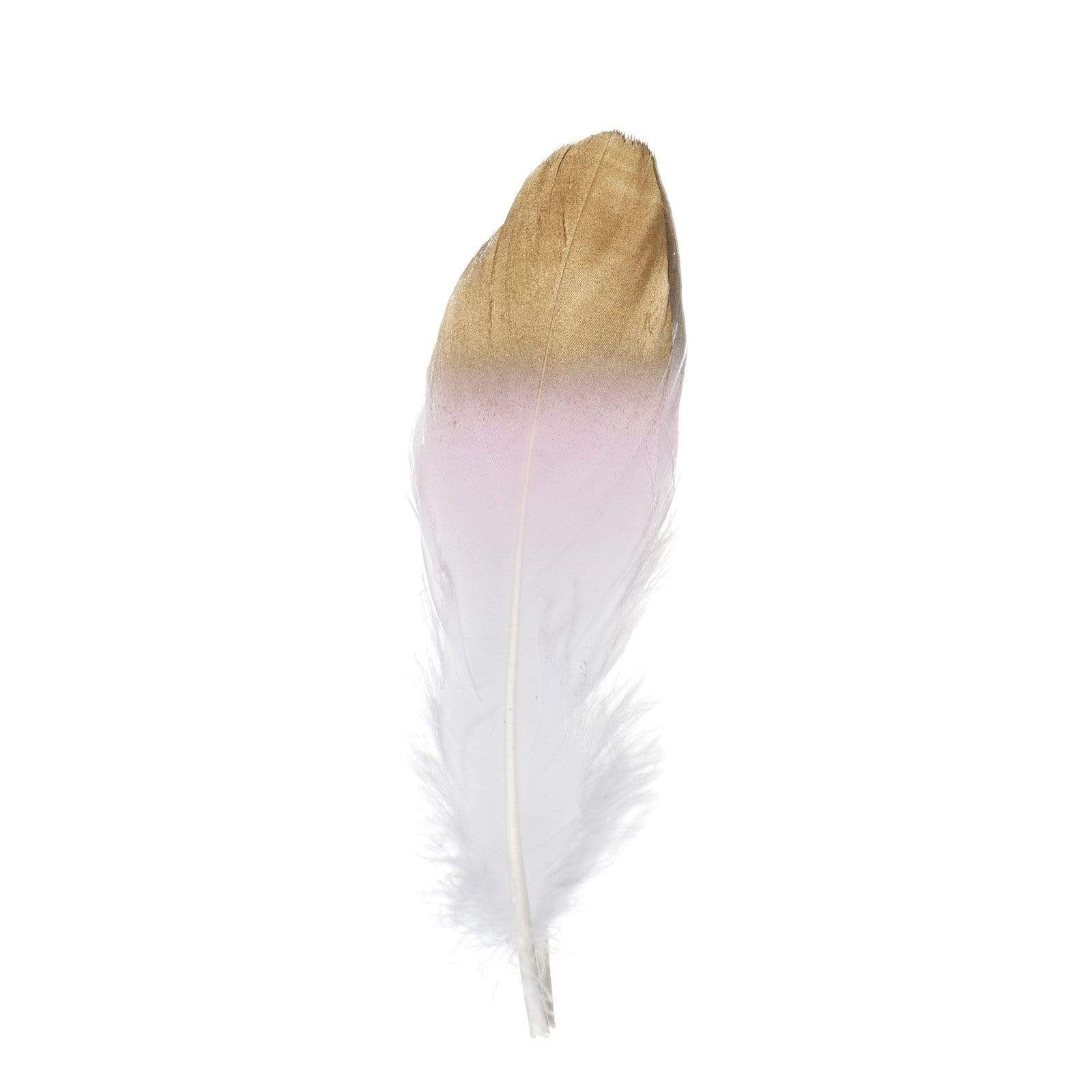 30 Tip Natural Decorative Goose Feathers