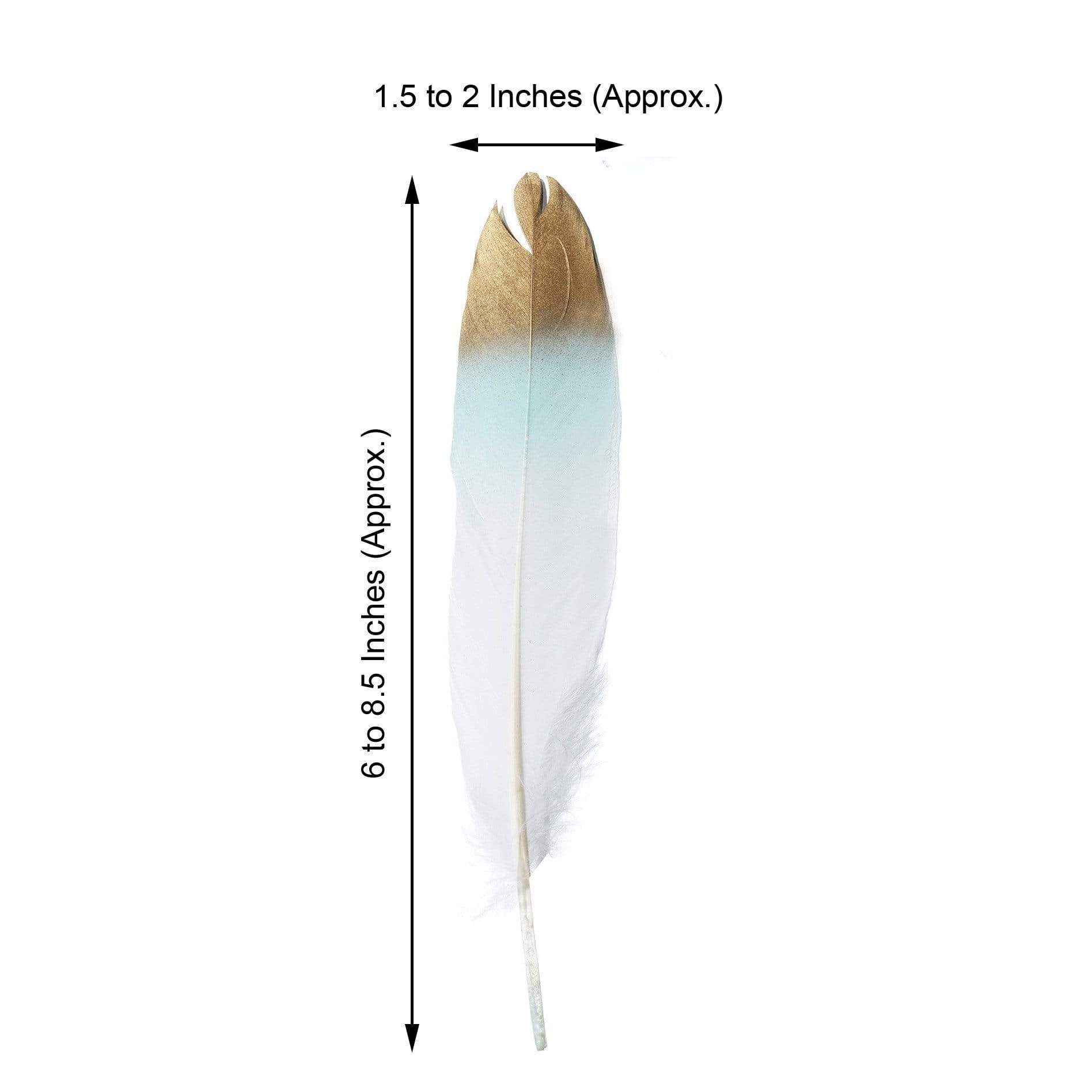 30 Tip Natural Decorative Goose Feathers