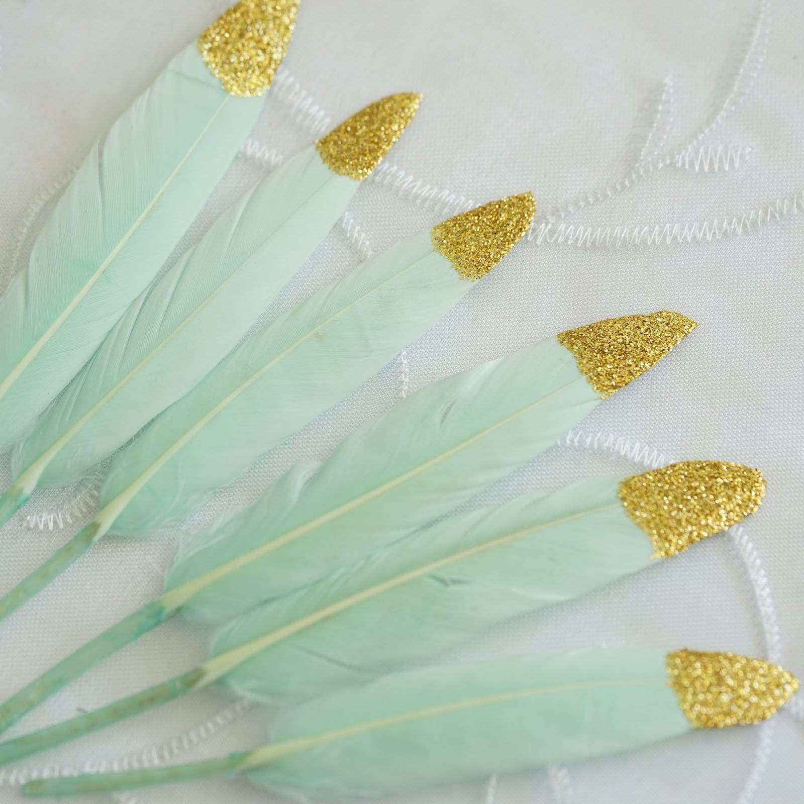 30 Tip Natural Decorative Turkey Feathers