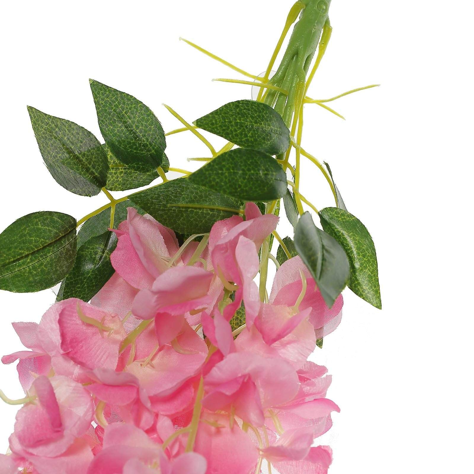 5 Strands 42