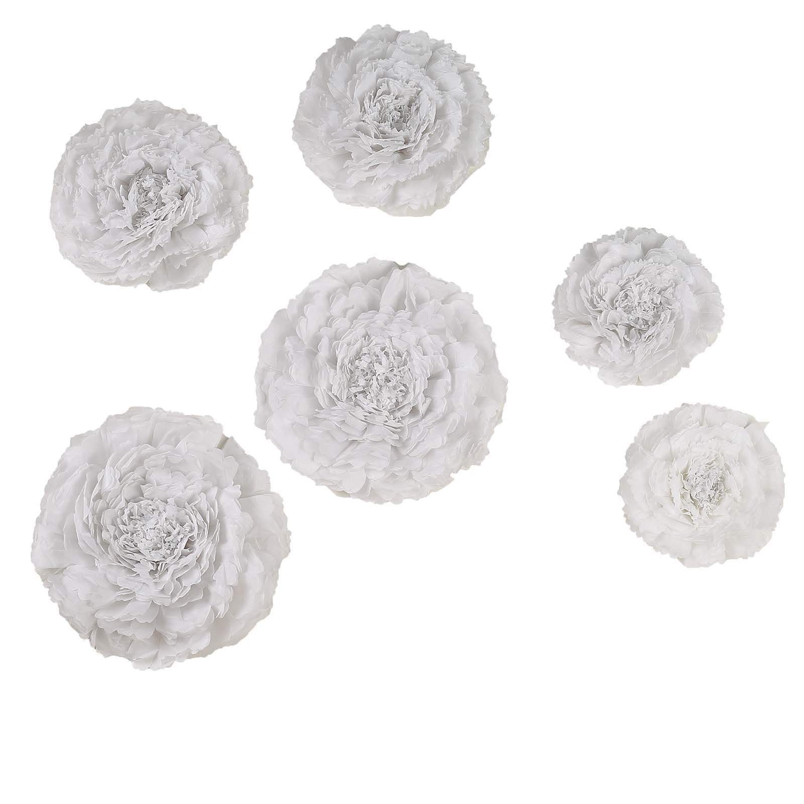 6 pcs 12 in 16 in 20 in wide Carnations Extra Large Paper Tissue Flowers