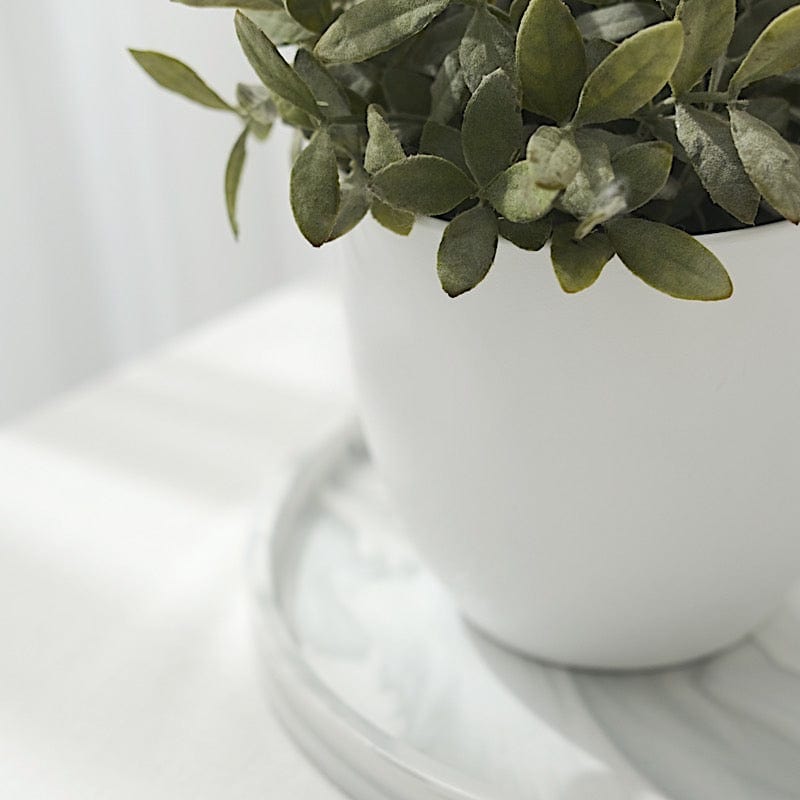 2 White 5.5 in Plastic Succulent Planters Indoor Flower Plant Pots