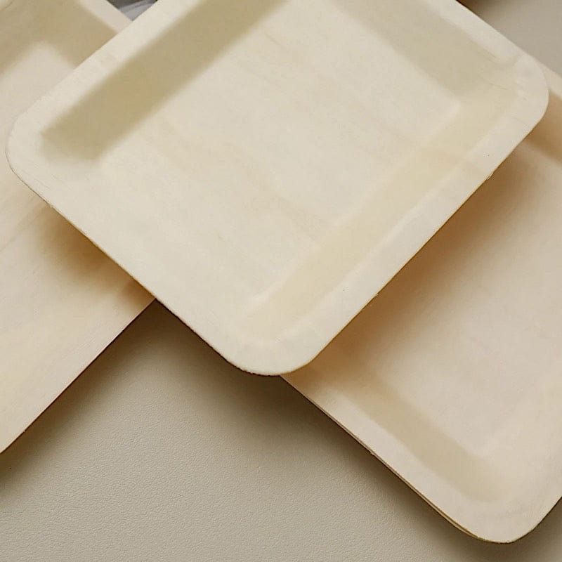 25 pcs Natural Birch Wooden Rectangle Plates