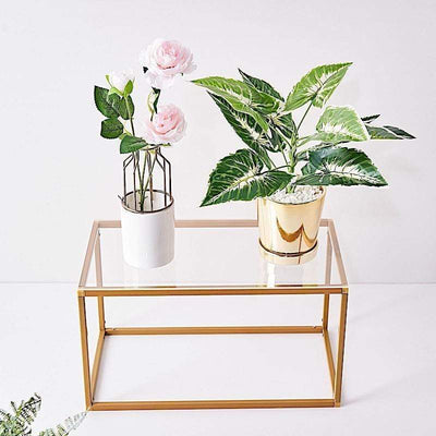 2 Clear Rectangle Plexiglass Sheets DIY Acrylic Sign Boards – Balsa ...