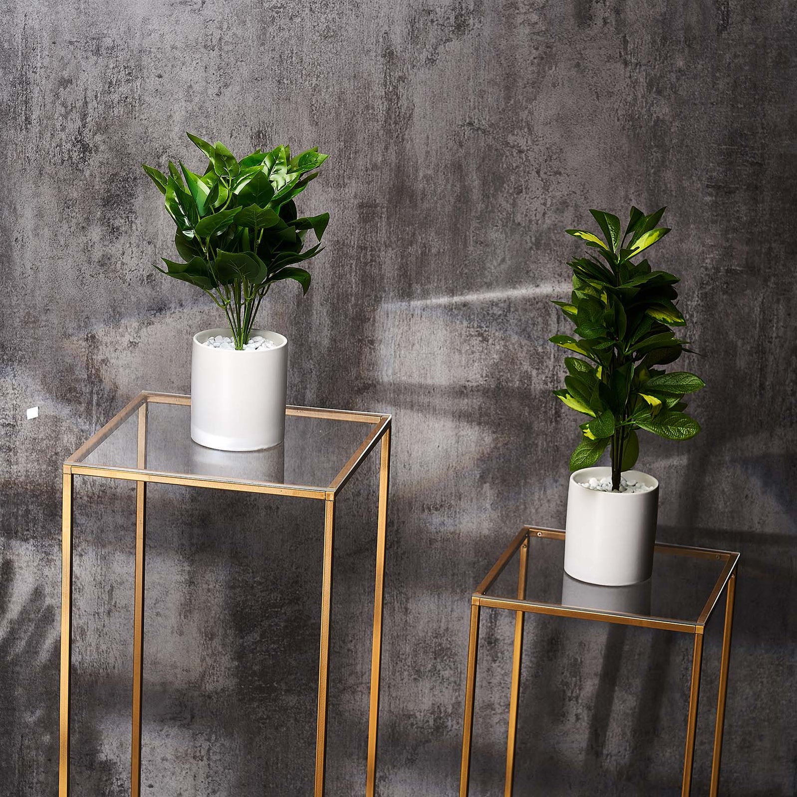 2 Clear Square Plexiglass Sheets DIY Acrylic Sign Boards – Balsa Circle ...