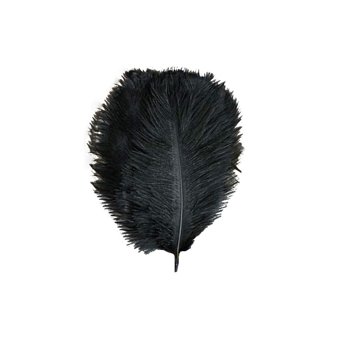 12 Large Authentic Ostrich Feathers 24 - 26 inches