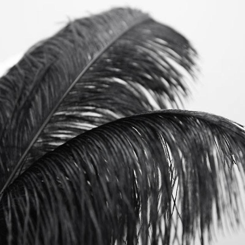 12 Large Authentic Ostrich Feathers 24 - 26 inches