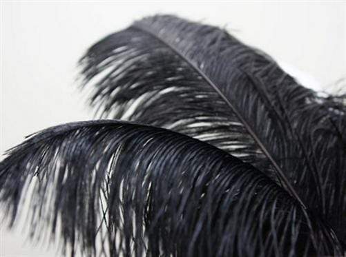 12 Large Authentic Ostrich Feathers 24 - 26 inches