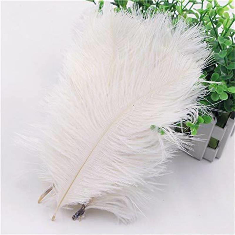 12 Large Authentic Ostrich Feathers 24 - 26 inches
