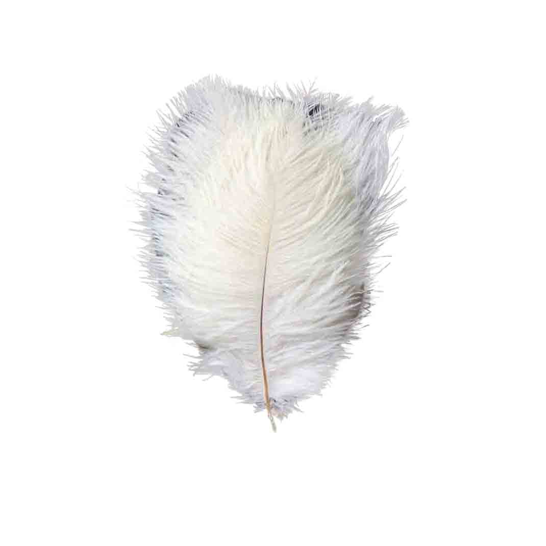 12 Large Authentic Ostrich Feathers 24 - 26 inches