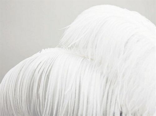 12 Large Authentic Ostrich Feathers 24 - 26 inches