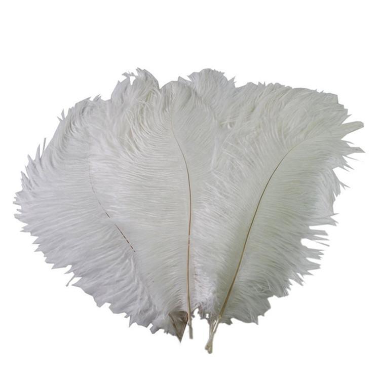 12 Large Authentic Ostrich Feathers 24 - 26 inches