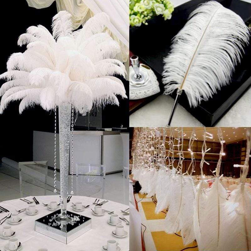 12 Large Authentic Ostrich Feathers 24 - 26 inches