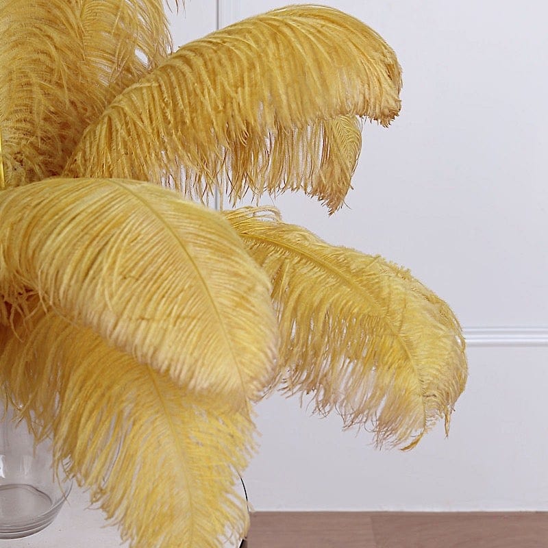 12 Large Authentic Ostrich Feathers 24 - 26 inches