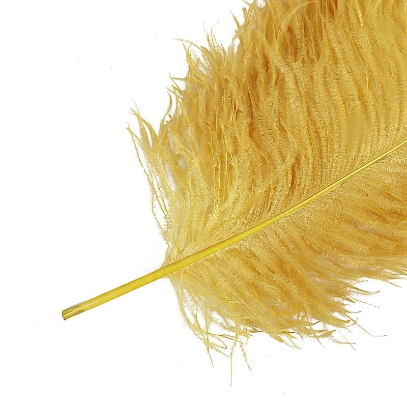 12 Large Authentic Ostrich Feathers 24 - 26 inches