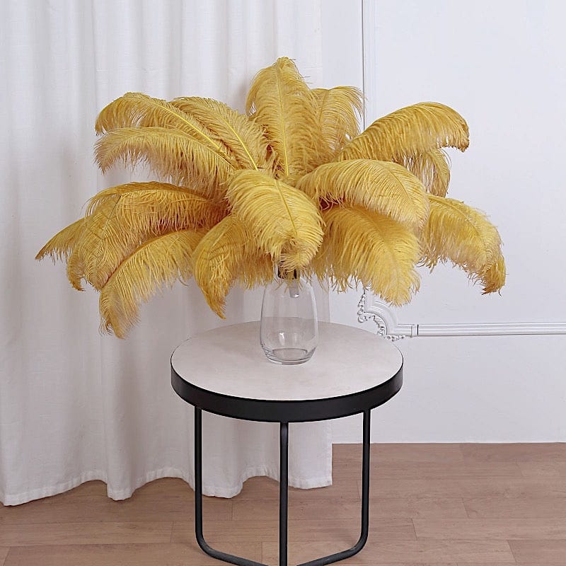 12 Large Authentic Ostrich Feathers 24 - 26 inches