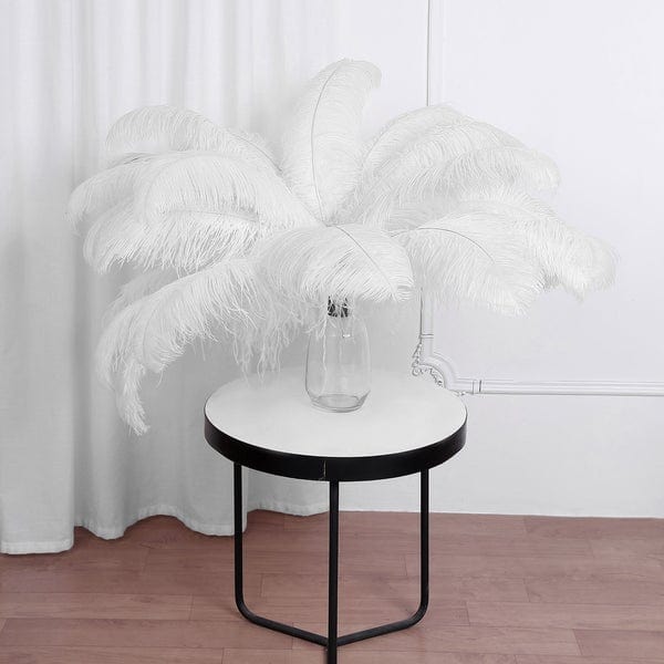 12 Large Authentic Ostrich Feathers 24 - 26 inches