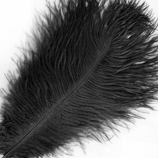 12 pcs 13 - 15 inches Genuine Ostrich Feathers