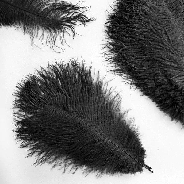 12 pcs 13 - 15 inches Genuine Ostrich Feathers