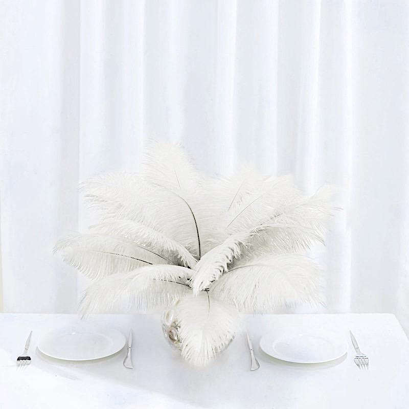 12 pcs 13 - 15 inches Genuine Ostrich Feathers
